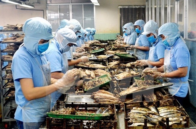 附圖：2018年前兩月越南水產品出口額同比增長近30%。（圖片來源：越通社）